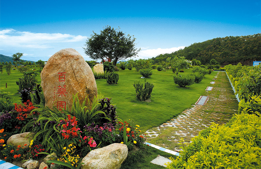 黑眼睛廣告為雁鳴湖旅游度假村宣傳推廣拍攝的風光圖片之百藥園